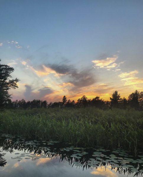 Bog Sunset