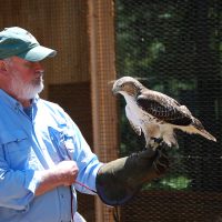 Raptor Educational Program