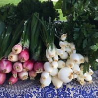 Downtown Marquette Farmers Market